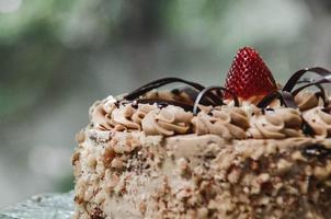 Delicious chocolate and strawberry cake photo