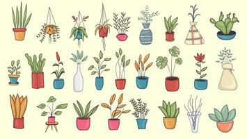 Large Set of Colorful Hand Drawn Home Plant Illustration