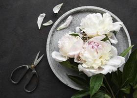 Flores de peonía sobre un fondo de hormigón negro foto