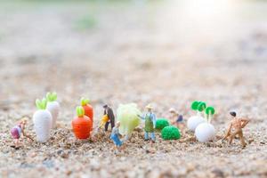 Miniature gardeners harvesting vegetables, agriculture concept photo