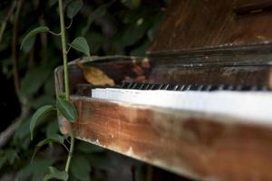 Hoja marrón en las teclas de un piano en un jardín. foto