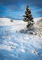 Idyllic snowy winter landscape photo