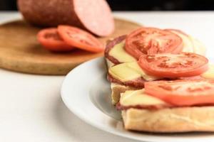 Hot sandwiches with tomatoes photo