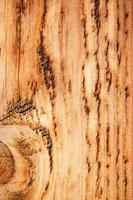 Detail of old sanded wood board photo