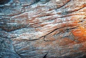 Detail of old weathered wood photo