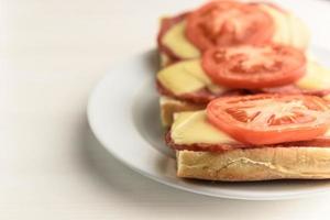 Hot sandwiches with tomatoes photo