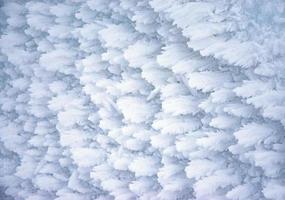 Ice wings on frozen snow photo