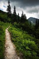 Landscape trail up to the peak photo