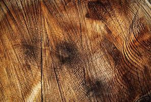 Rustic old wood photo