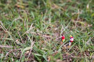 Viajeros en miniatura con mochilas de pie y caminando en un prado foto