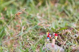 Miniature travelers with backpacks standing and walking in a meadow photo