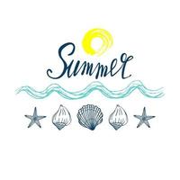 Seashells, summer, holidays, set of seashells and starfish, vector. Hand drawn sea shells and starfishes. Beautiful inscription in modern calligraphy. vector