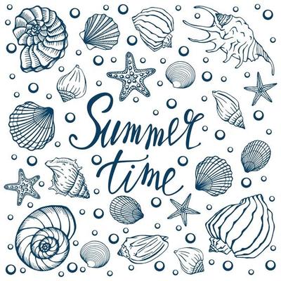 Seashells, summer, holidays, set of seashells and starfish, vector. Hand drawn sea shells and starfishes. Beautiful inscription in modern calligraphy.