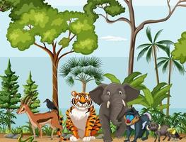 escena de la selva tropical con animales salvajes. vector