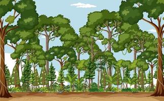 Forest scene with many trees at day time vector