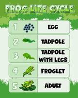 Diagram showing life cycle of Frog vector