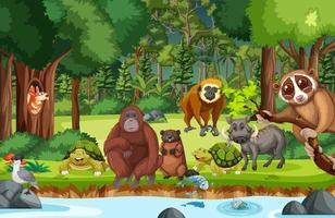 Rainforest scene with wild animals vector