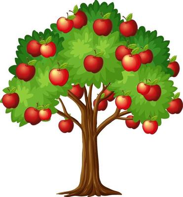 Apple tree discount