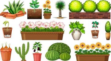 Conjunto de diferentes plantas en macetas aislado sobre fondo blanco. vector