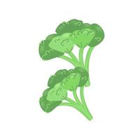 Two green bunches of broccoli, vegetable rich in vitamin C, broccoli icon, vector illustration in flat style.