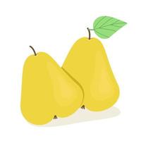 Two yellow pears, ripe juicy fruits, vector illustration in flat style.
