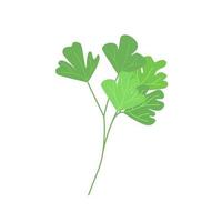 Bunch of parsley, useful greens for salads, spring greens, vector illustration in flat style.