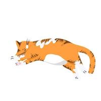 gato rojo durmiendo con las patas extendidas, personaje de dibujos animados lindo, mascota, objeto vectorial aislado sobre fondo blanco, dibujar a mano. vector