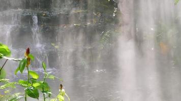 Verkleinern Sie den nebligen Sonnenlicht-Kaskaden-Wasserfall-Regenwaldgarten video