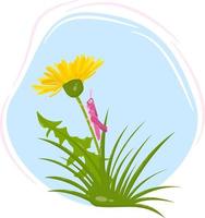 Vector spring composition of yellow dandelion, leaves and pink grasshopper on a blue background.