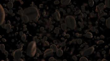 Coffee Beans Flying Towards Camera video