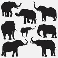 Conjunto de plantillas de diseño de vector de silueta de elefante