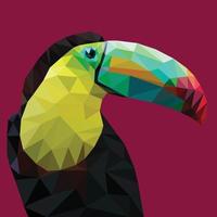 toucan Low Poly  vector design templates set