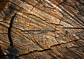 Detail of grooves in wood photo