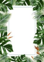 Tropical leaves frame isolated on a white background photo