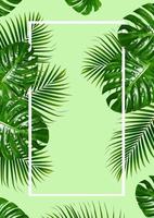 Tropical green leaves frame with white borders on a green background photo