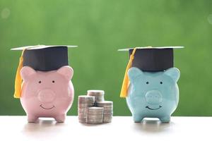 Graduation hats on piggy banks and a stack of coins on a natural green background, saving money for education concept photo