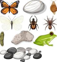 diferentes tipos de insectos con elementos de la naturaleza. vector