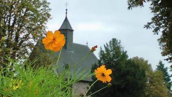 flores amarelas e velha igreja borrada video