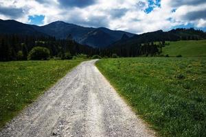 Path through the countryside into the forest photo