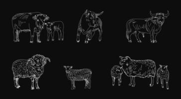 Butcher shop blackboard set with animals vector