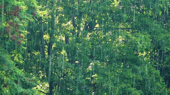 雨滴影片