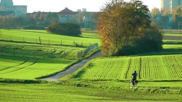 Man Riding a Bicycle in Fields video