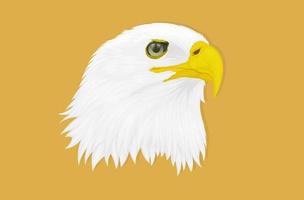 Illustration of an eagle with a sharp gaze facing the side, hand drawing vector