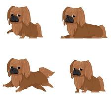 Pekingese in different poses. vector