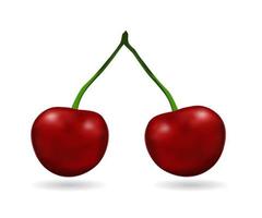 red cherry icon vector