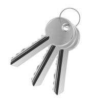 steel keys icon vector