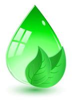 drop with green leaves vector