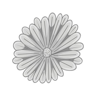 Vector floral botanical flower Illustration Grey Ornament