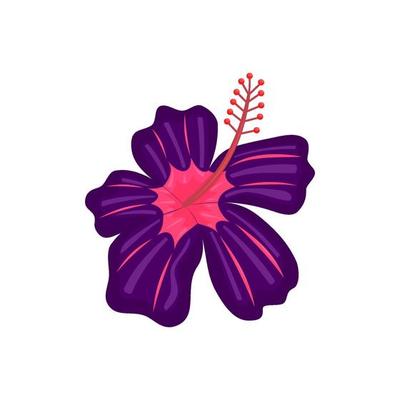 Vector floral botanical flower Illustration Flat Ornament