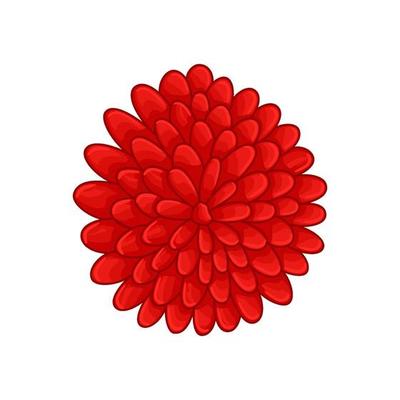 Vector floral botanical flower Illustration Color Ornament Red